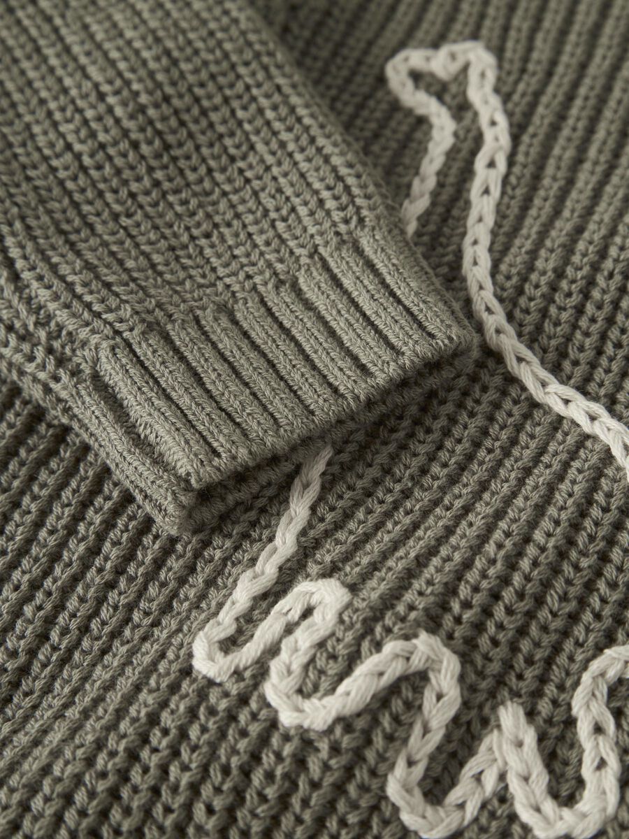 Strickpullover Dino