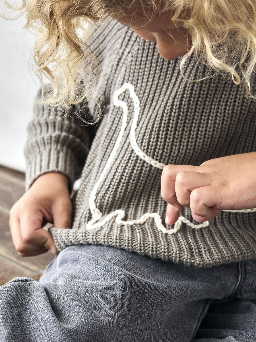 Strickpullover Dino