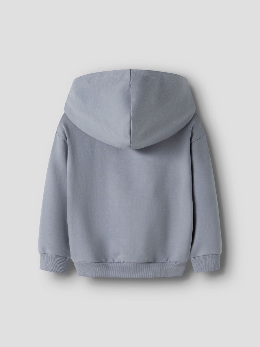 Hoodie "Bagger"