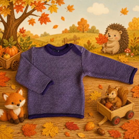 Melange Pullover Disana - Pflaume/Rose